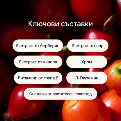 Pure Patches – Берберинови Лепенки